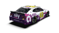 48c20-ally-white0008.png