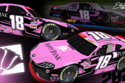 Daniel Hemric Poppy Bank 2021 Charlotte Roval Scheme