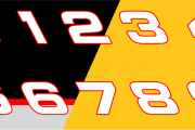 Dale Earnhardt Inc./ Richard Childress Racing Number set.