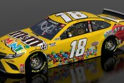 WEDS Kyle Busch #18 JGR M and M's Mini