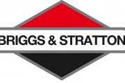 WEDS Briggs & Stratton Logo