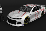 Ross Chastain 2021 McDonalds Pack