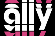 Ally hood logo